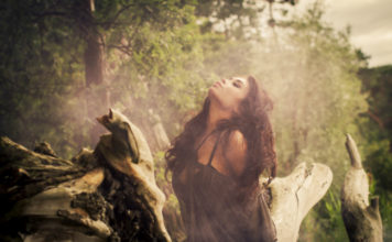 Μετενσάρκωση - μεγάλο αφιέρωμα, έρευνα